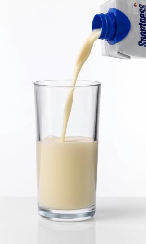 Protein Drink, Vanille-Geschmack, trinkfertig, 330 ml