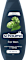 Shampoo For Men