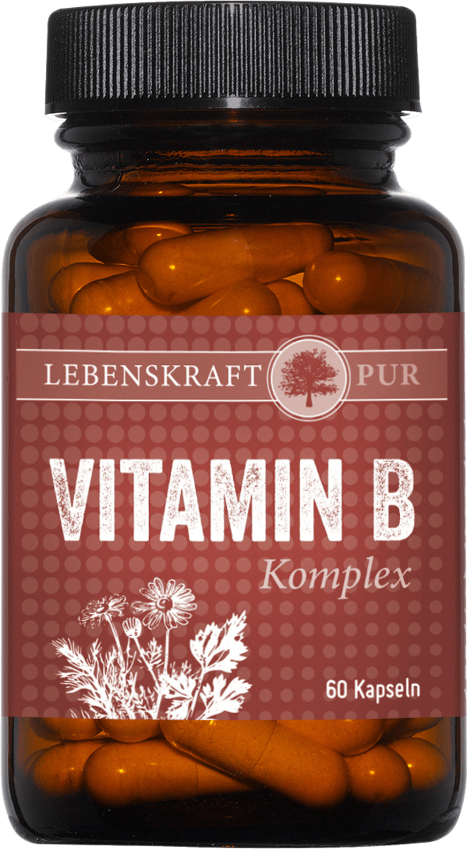 Lebenskraftpur Vitamin B Komplex 60st 30 2 G Dauerhaft Gunstig Online Kaufen Dm De