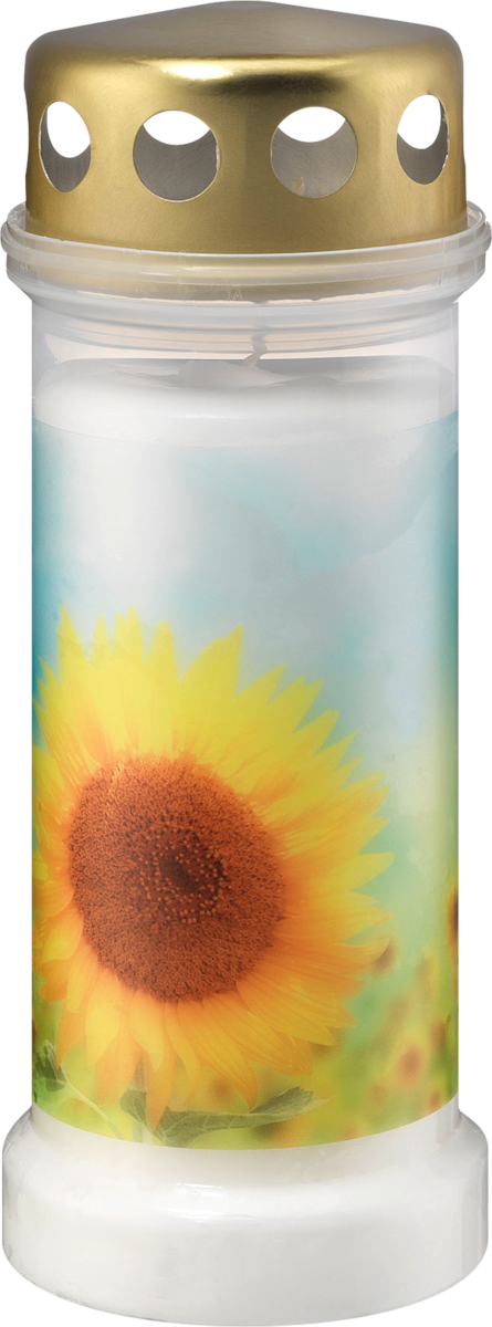 profissimo grabkerze sonnenblume 1 st dauerhaft gunstig online kaufen dm de