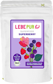 lebepur superfood pulver gerstengras 125 g dauerhaft gunstig online kaufen dm de