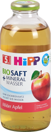 Hipp 100 Bio Saft Milder Apfel 0 Ml Dm At