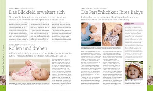 Dk Das Erste Jahr Unser Baby Tag Fur Tag 1 St Dauerhaft Gunstig Online Kaufen Dm De