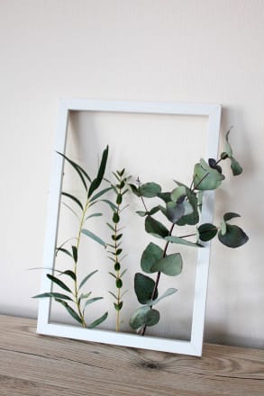 Paradies Bilderrahmen Mdf x30 Cm Weiss 1 St Dauerhaft Gunstig Online Kaufen Dm De