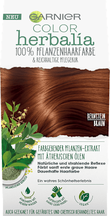 po sic in amien to web