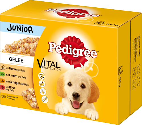 Pedigree Nassfutter Fur Hunde Junior Auswahl In Gelee Multipack 12x100g 1 2 Kg Dauerhaft Gunstig Online Kaufen Dm De