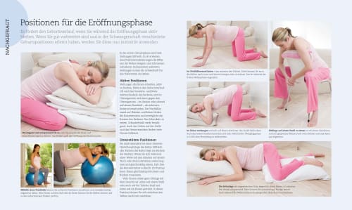 Dorling Kindersley Alles Uber Meine Schwangerschaft Tag Fur Tag 1 St Dauerhaft Gunstig Online Kaufen Dm De