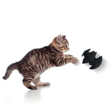 catlabs spielzeug fur katzen catman mit bio baldrianwurzel 1 st dauerhaft gunstig online kaufen dm de