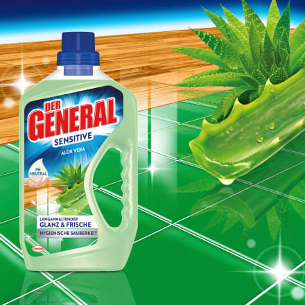Der General Allzweckreiniger Aloe Vera 750 Ml Dauerhaft Gunstig Online Kaufen Dm De