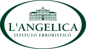 L'Angelica Tisana A Freddo Sgonfiante Digestiva - 10 Confezioni Da 18  Filtri, color Verde, 15 Unità - Confezione da 10