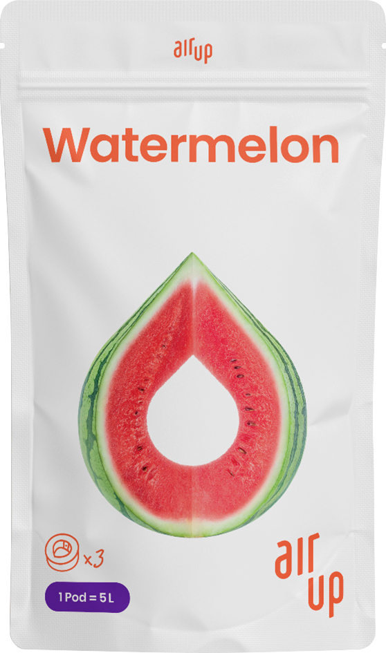 air up Aroma-Pod Watermelon bei DM kaufen