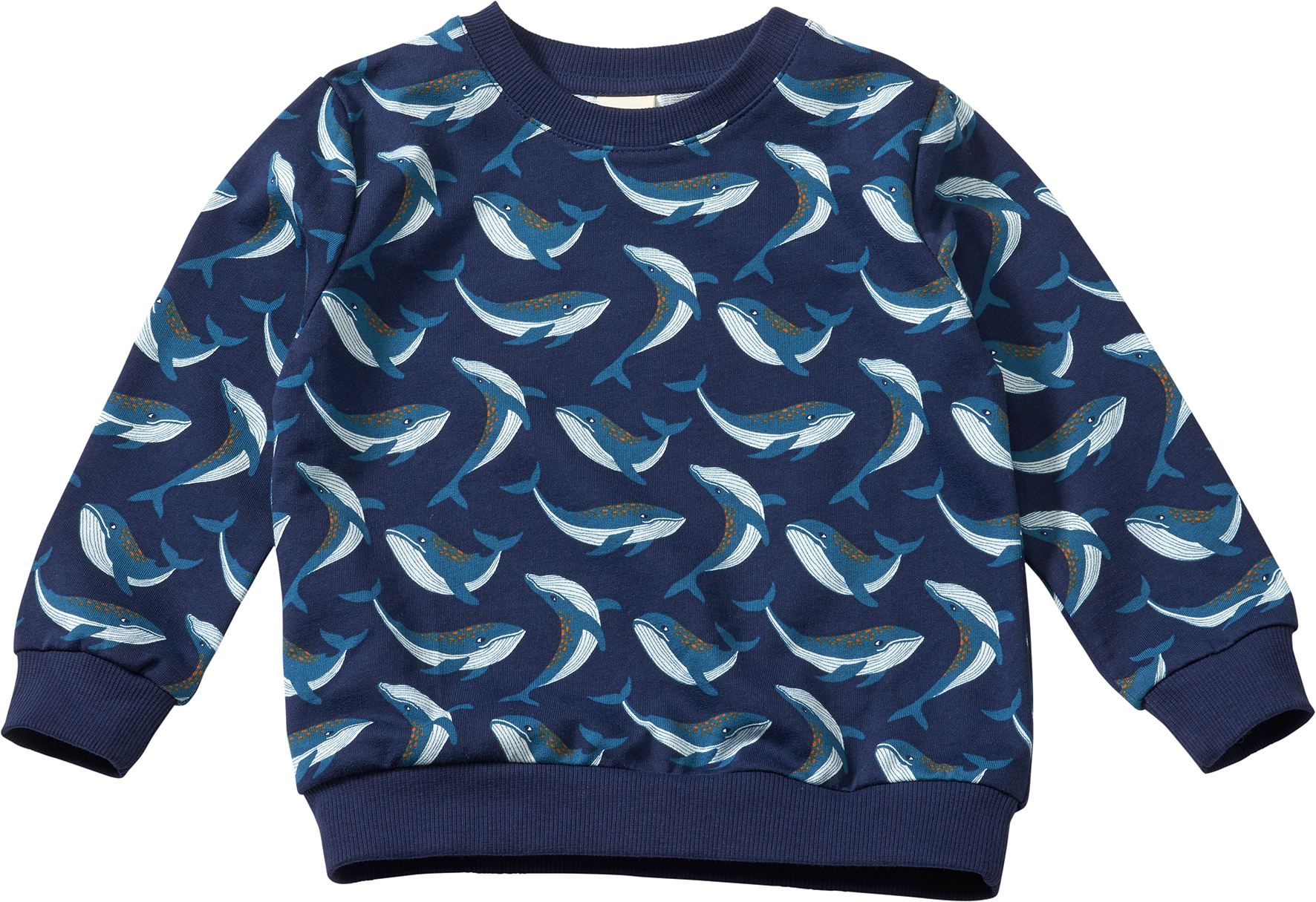 Sweatshirt Pro Climate mit Wal-Muster, blau, Gr. 122