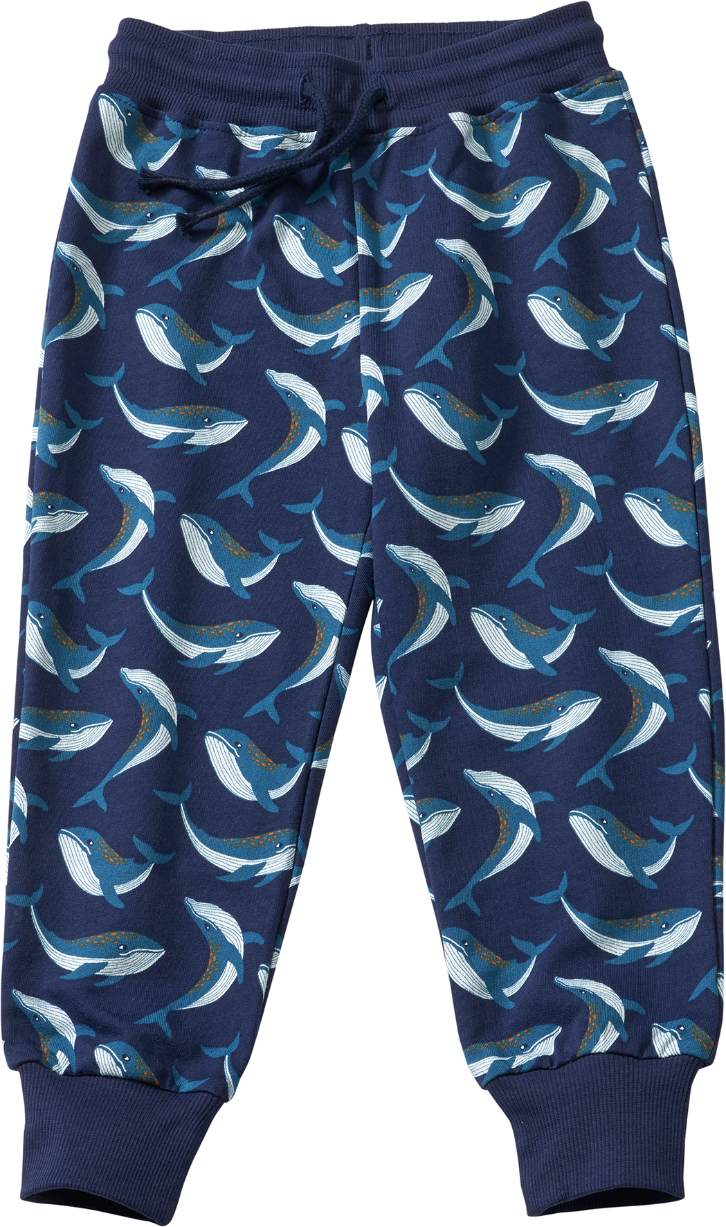 Jogginghose Pro Climate mit Wal-Muster, blau, Gr. 122