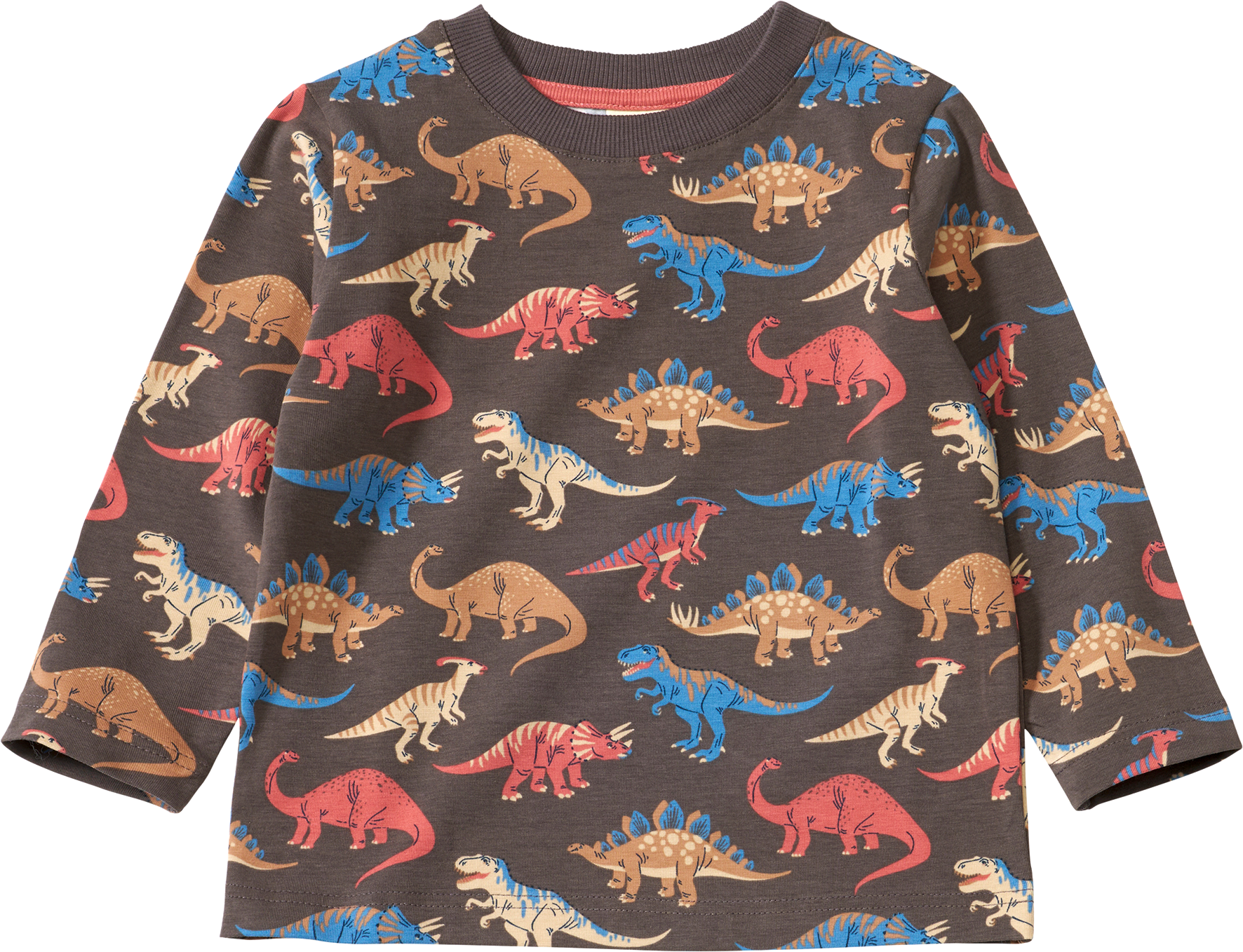 Langarmshirt Pro Climate mit Dino-Muster, grau, Gr. 116