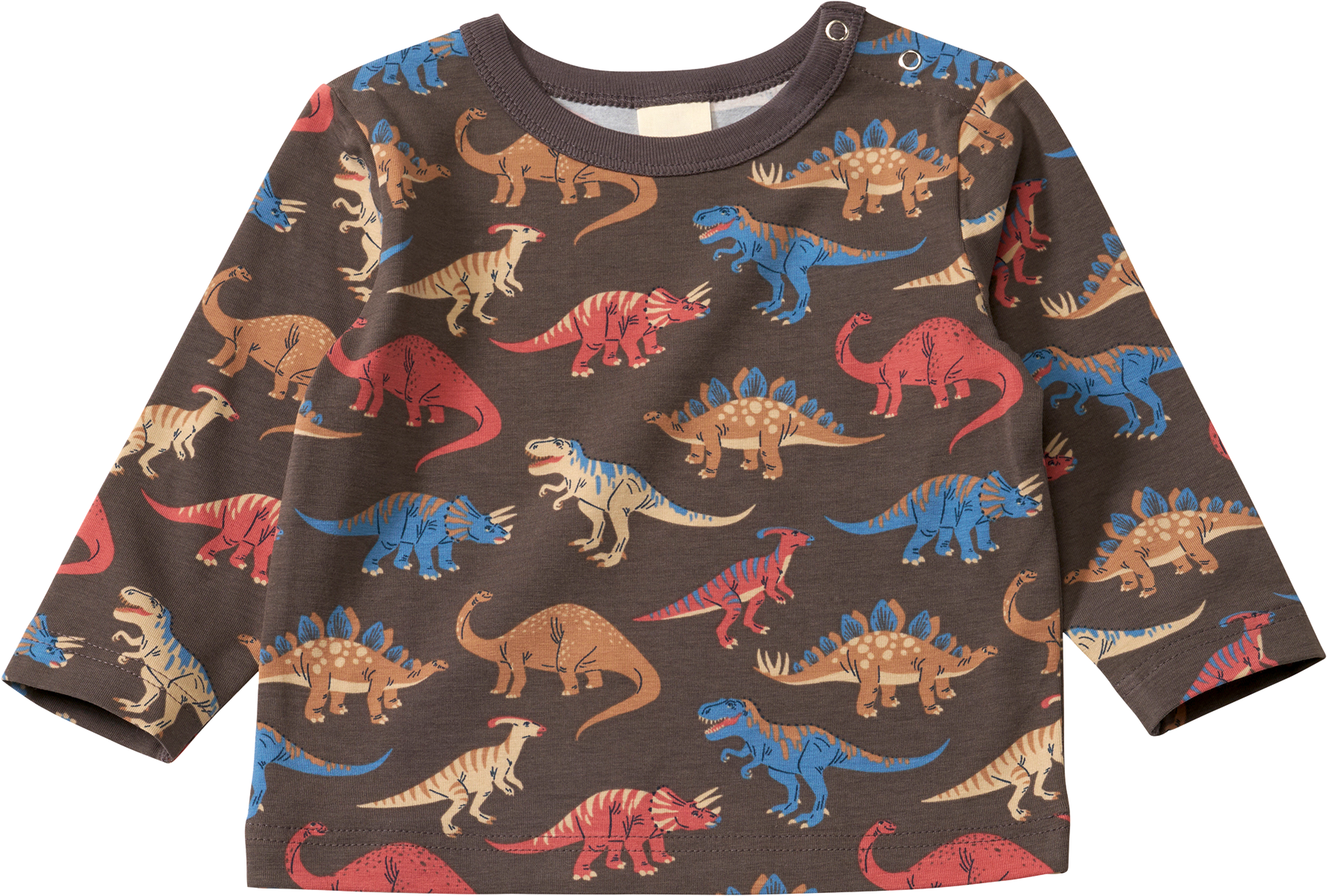 Langarmshirt Pro Climate mit Dino-Muster, grau, Gr. 74