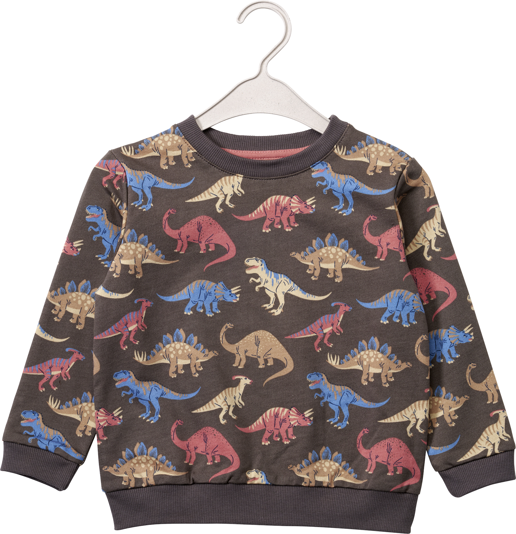 Sweatshirt mit Dino-Motiv, grau, Gr. 92