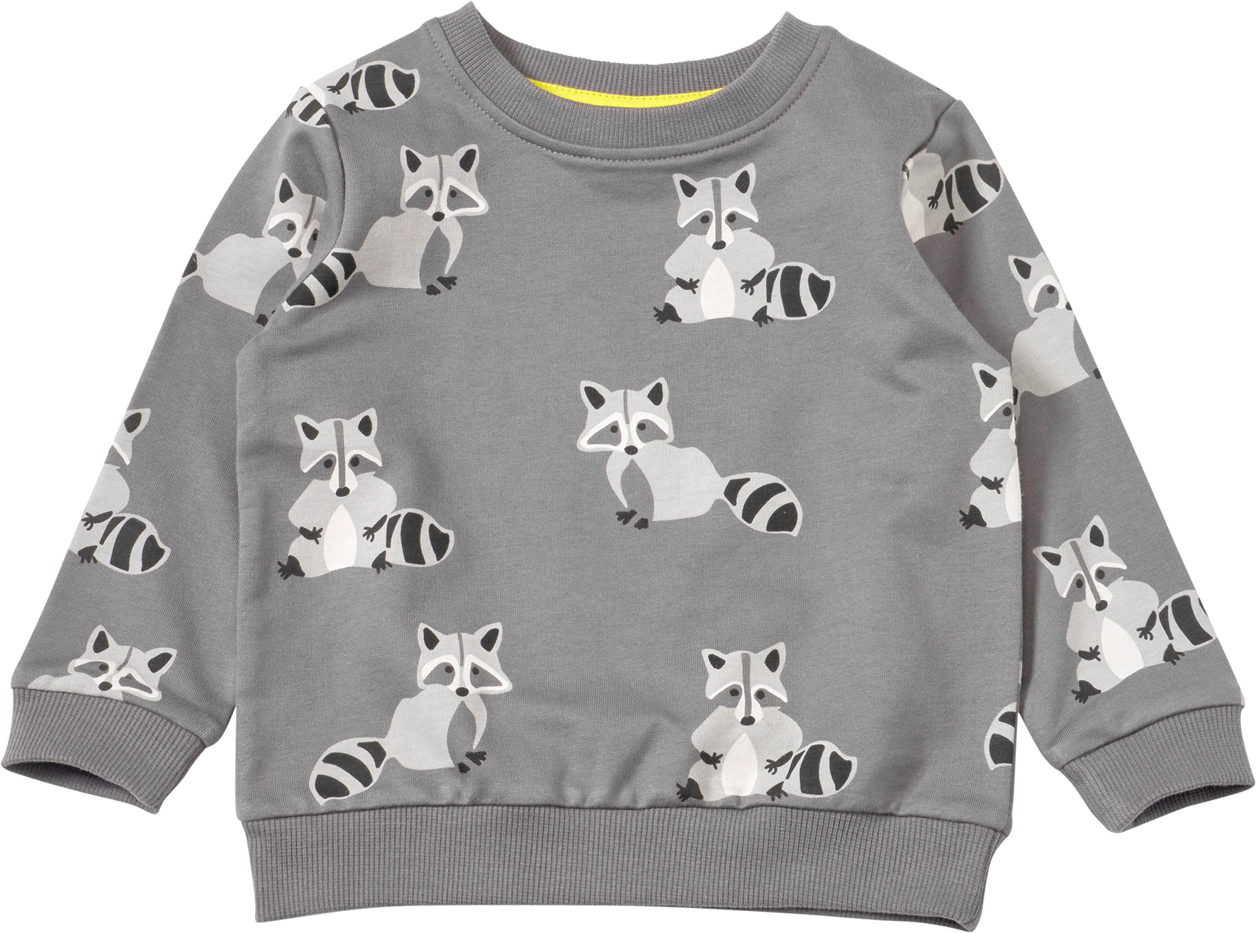 Sweatshirt mit Waschbär-Muster, grau, Gr. 92