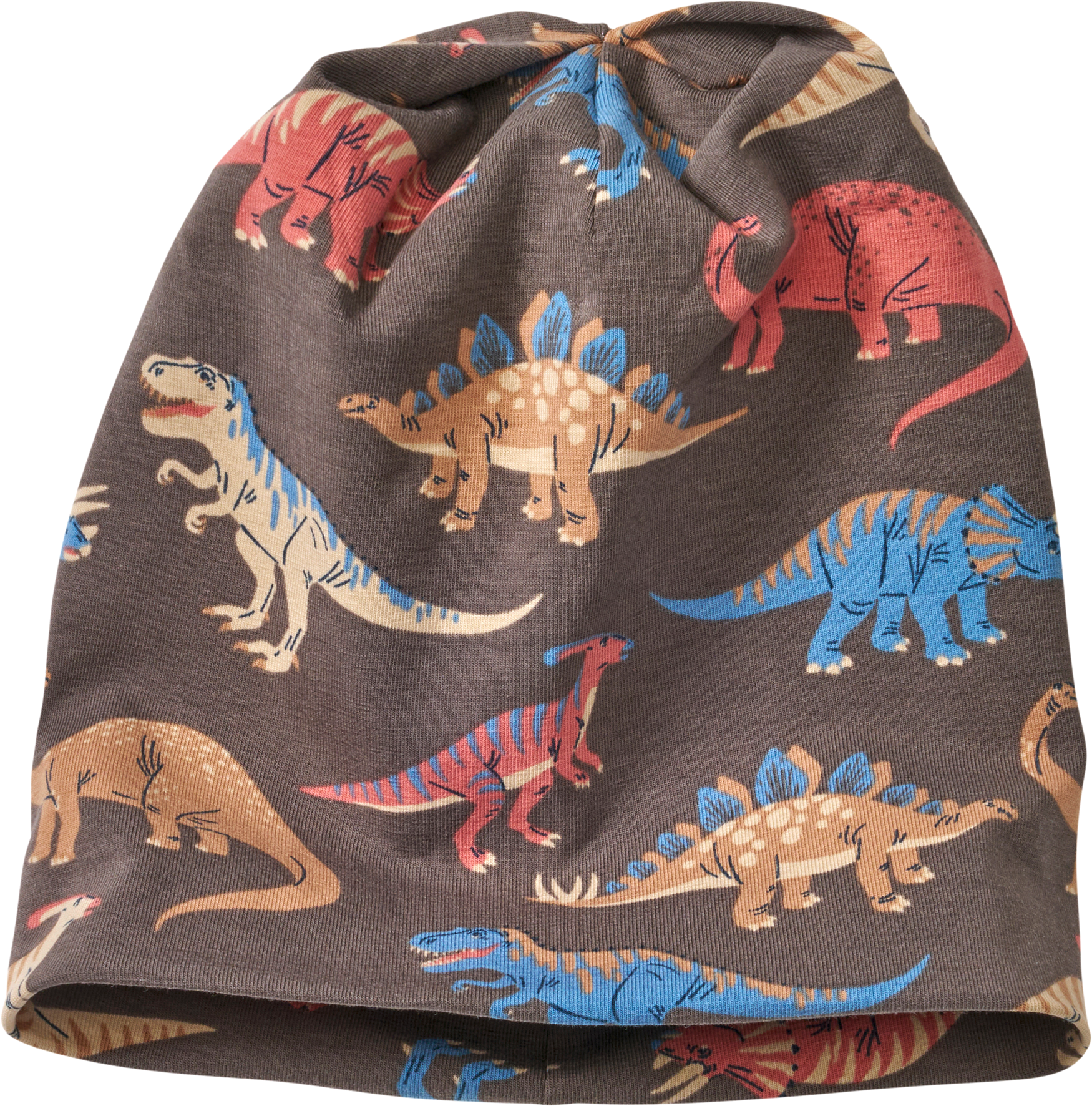 Mütze Pro Climate mit Dino-Muster, grau, Gr. 48/49
